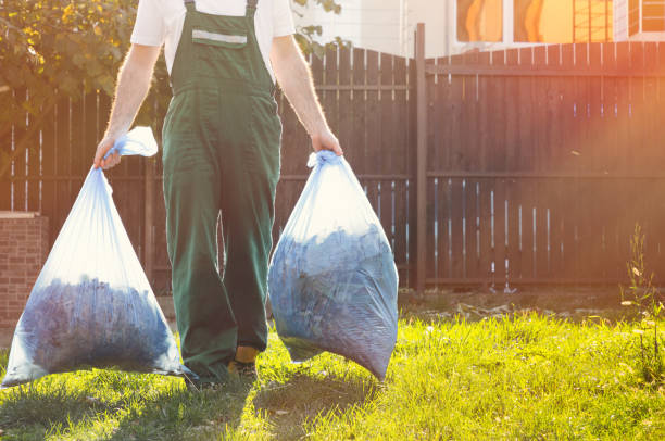 Best Attic Cleanout  in Doctor Phillips, FL